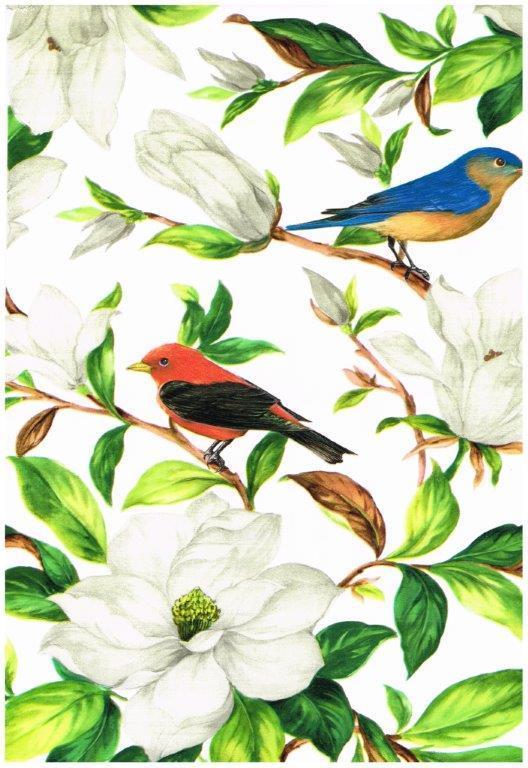 Northwoods Tischdecke Kardinal Vögel Bäume Waschbar 
