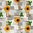 Wachstuch Tischdecke PC130-1 Sonnenblumen Basilikum Holz Küche eckig rund oval Meterware